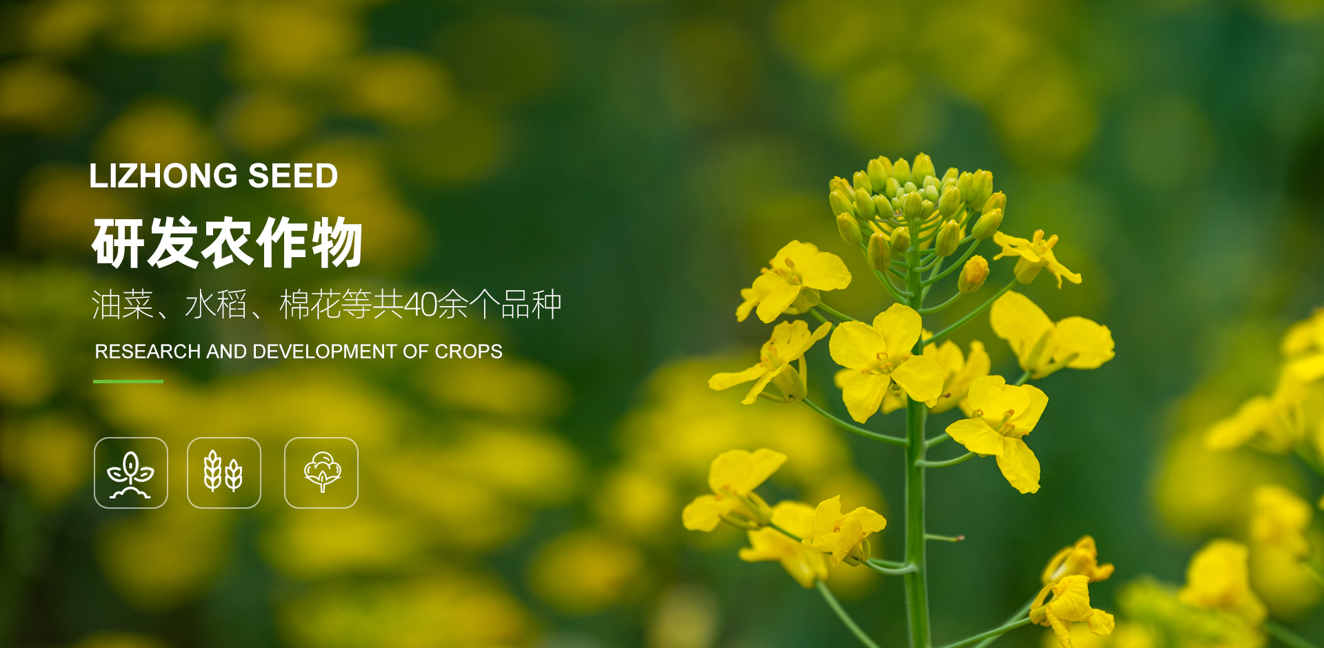 上海豪登實業(yè)有限公司